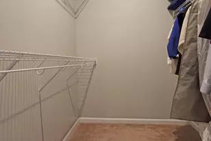 231 Harness Way, Delaware, OH 43015 - Photo 34