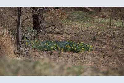 16900 State Route 664 S, Logan, OH 43138 - Photo 16