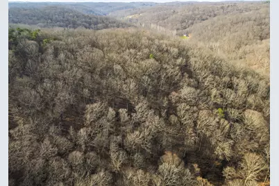 23972 Brown Road #Lot 1, South Bloomingville, OH 43152 - Photo 14