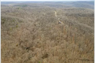 23972 Brown Road #Lot 1, South Bloomingville, OH 43152 - Photo 48