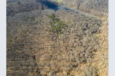 23972 Brown Road #Lot 1, South Bloomingville, OH 43152 - Photo 24