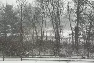 8239 Woodland Crk Ct, Blacklick, OH 43004 - Photo 58