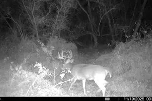 1114 State Route 314, Centerburg, OH 43011 - Photo 56