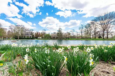 951 Mount Pleasant Avenue, Columbus, OH 43201 - Photo 44