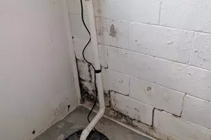 2309 Gerbert Rd, Columbus, OH 43211 - Photo 12