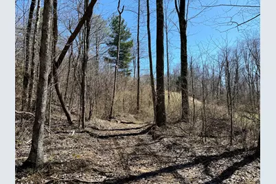 0 Dutch Ridge Road #(Woods Turkey Run Tract 5), New Lexington, OH 43764 - Photo 16