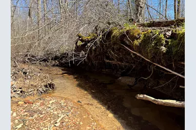 0 Dutch Ridge Road #(Woods Turkey Run Tract 5), New Lexington, OH 43764 - Photo 40