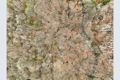 4445 Central College Road, Westerville, OH 43081 - Photo 70