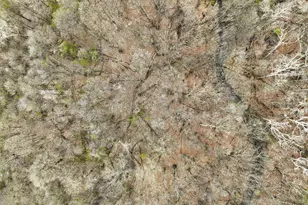 4445 Central College Rd, Westerville, OH 43081 - Photo 72