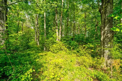 5164 Riverway Run, Powell, OH 43065 - Photo 16