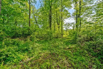 5164 Riverway Run, Powell, OH 43065 - Photo 20