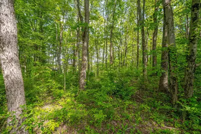 5164 Riverway Run, Powell, OH 43065 - Photo 18