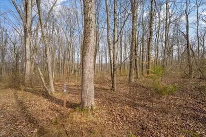 5164 Riverway Run, Powell, OH 43065 - Photo 22