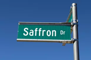 415 Saffron Dr, Sunbury, OH 43074 - Photo 58