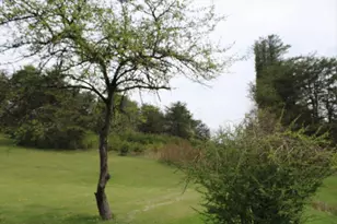 27284 State Route 180, Rockbridge, OH 43149 - Photo 4