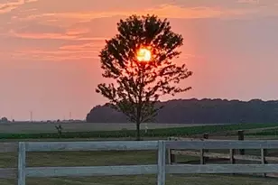 7280 Rader Rd NE, Pleasantville, OH 43148 - Photo 76