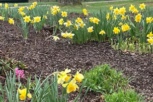 5095 Lakeview Dr, Powell, OH 43065 - Photo 6