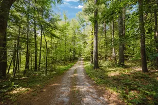 24646 Woltz Rd, Rockbridge, OH 43149 - Photo 48