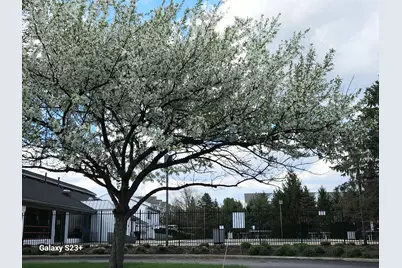 6672 Axtel Drive #2B, Canal Winchester, OH 43110 - Photo 72