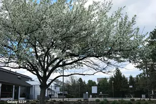 6672 Axtel Dr, Canal Winchester, OH 43110 - Photo 72