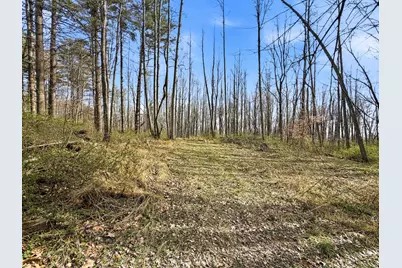 22470 Griffith Road, Logan, OH 43138 - Photo 26