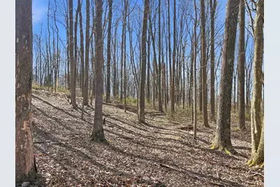 22470 Griffith Road, Logan, OH 43138 - Photo 18