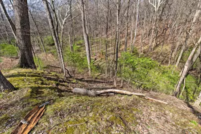 7860 Schott Road, Westerville, OH 43081 - Photo 68