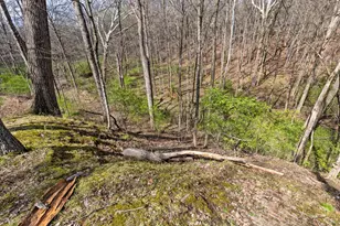 7860 Schott Rd, Westerville, OH 43081 - Photo 68