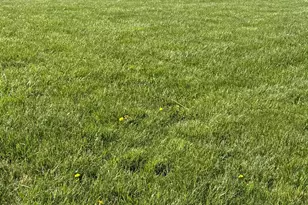 3233 Tick Ridge Rd, Wheelersburg, OH 45694 - Photo 2