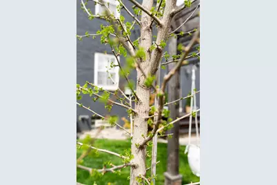 2813 Bryden Road, Columbus, OH 43209 - Photo 80