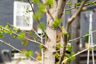 2813 Bryden Rd, Columbus, OH 43209 - Photo 80