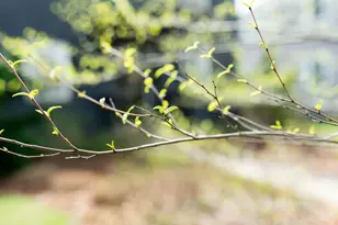 2813 Bryden Rd, Columbus, OH 43209 - Photo 8