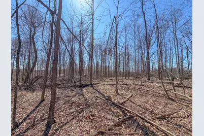 17970 Scott Road, Mount Vernon, OH 43050 - Photo 12