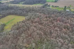 4605 Township Rd 191, Marengo, OH 43334 - Photo 74