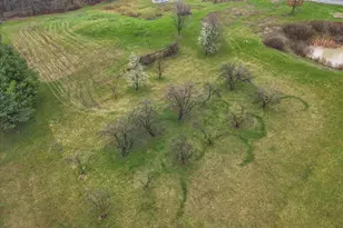 4605 Township Rd 191, Marengo, OH 43334 - Photo 84