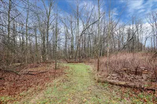 4605 Township Rd 191, Marengo, OH 43334 - Photo 66