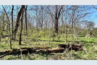 0 Sitterley Road NW #Tract 2, Carroll, OH 43112 - Photo 6