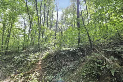 0 Lot #1 Thad Hall Road, Laurelville, OH 43135 - Photo 12