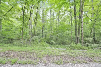 0 Lot #1 Thad Hall Road, Laurelville, OH 43135 - Photo 6