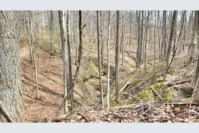 2641 Morganstern Lane, Beverly, OH 45715 - Photo 44