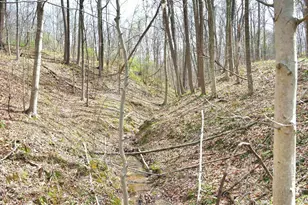 2641 Morganstern Ln, Beverly, OH 45715 - Photo 38