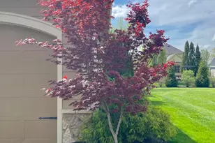 5997 Baronscourt Way, Dublin, OH 43016 - Photo 82