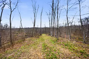 5123 State Route 13 SE, Corning, OH 43730 - Photo 80