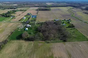 4419 Co Hwy 115, Mount Gilead, OH 43338 - Photo 10