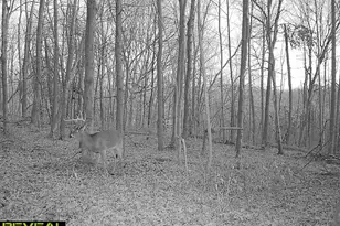 3824 Loys Run Rd, Piketon, OH 45661 - Photo 42