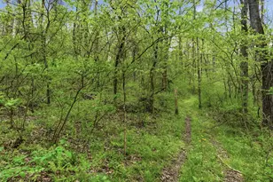 37011 Scout Rd, Logan, OH 43138 - Photo 46
