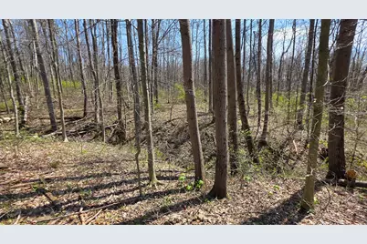 0 Dennis Road #(Tract 4 at Muskingum Woods), Zanesville, OH 43701 - Photo 18