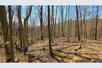 0 Dennis Road #(Tract 4 at Muskingum Woods), Zanesville, OH 43701 - Photo 4