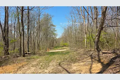 0 Dennis Road #(Tract 4 at Muskingum Woods), Zanesville, OH 43701 - Photo 6