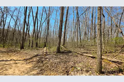 0 Dennis Road #(Tract 4 at Muskingum Woods), Zanesville, OH 43701 - Photo 20